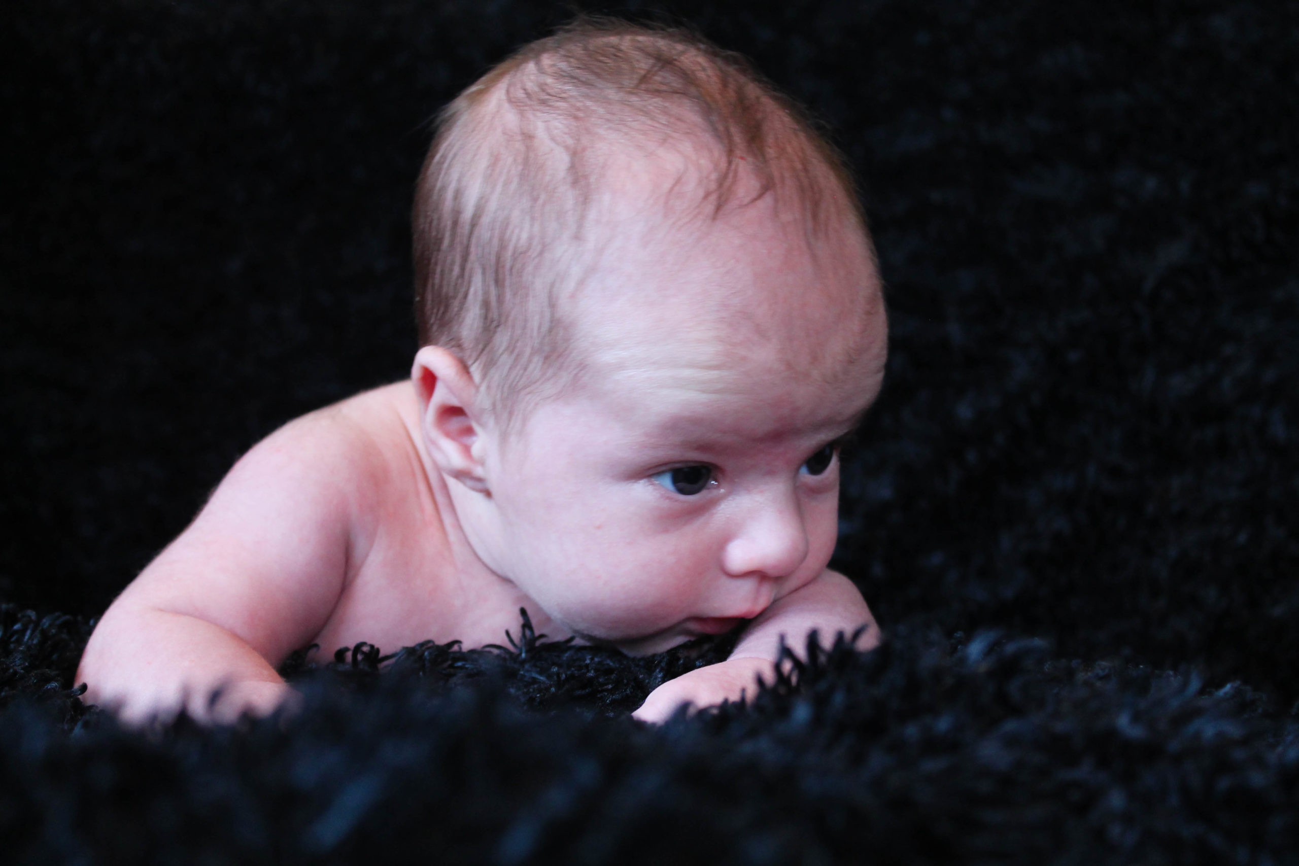 Baby Cooper Newborns Photoshoot | Captured By Lexi In Utah