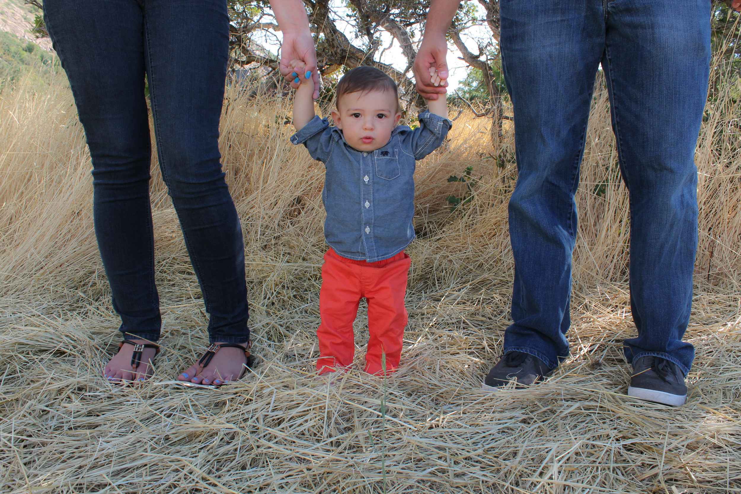 Beautiful Family Photoshoot in Utah by Captured by Lexi